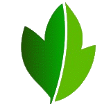 New Leaf